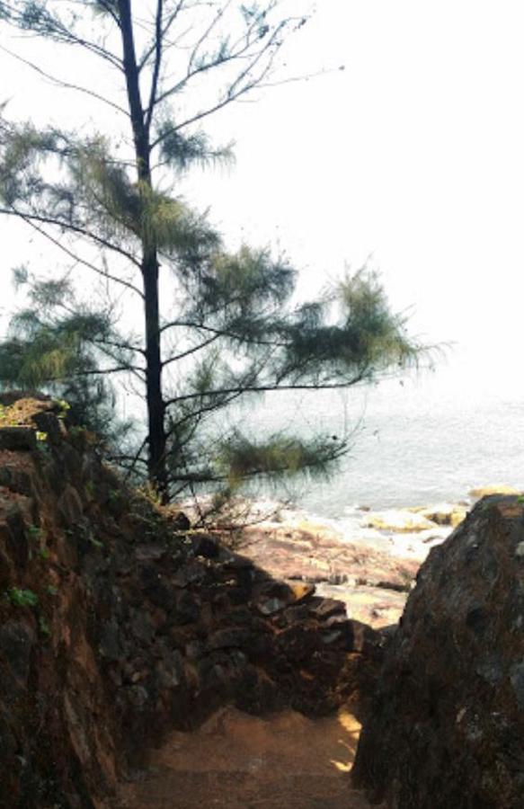 جوكارنا Honey Beach Cottages المظهر الخارجي الصورة
