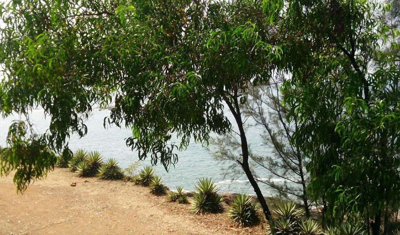 جوكارنا Honey Beach Cottages المظهر الخارجي الصورة